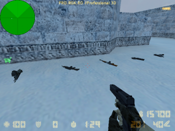fy snow0010